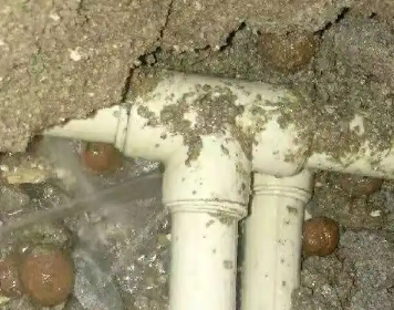 泗洪测漏水多少钱