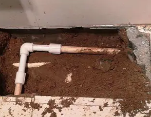 泗洪测漏水哪家好