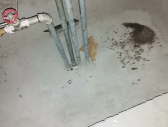 泗洪卫生间测漏水价格明细