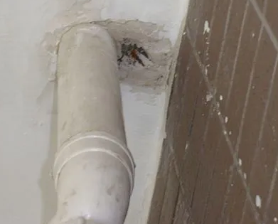 泗洪漏水检测哪家好